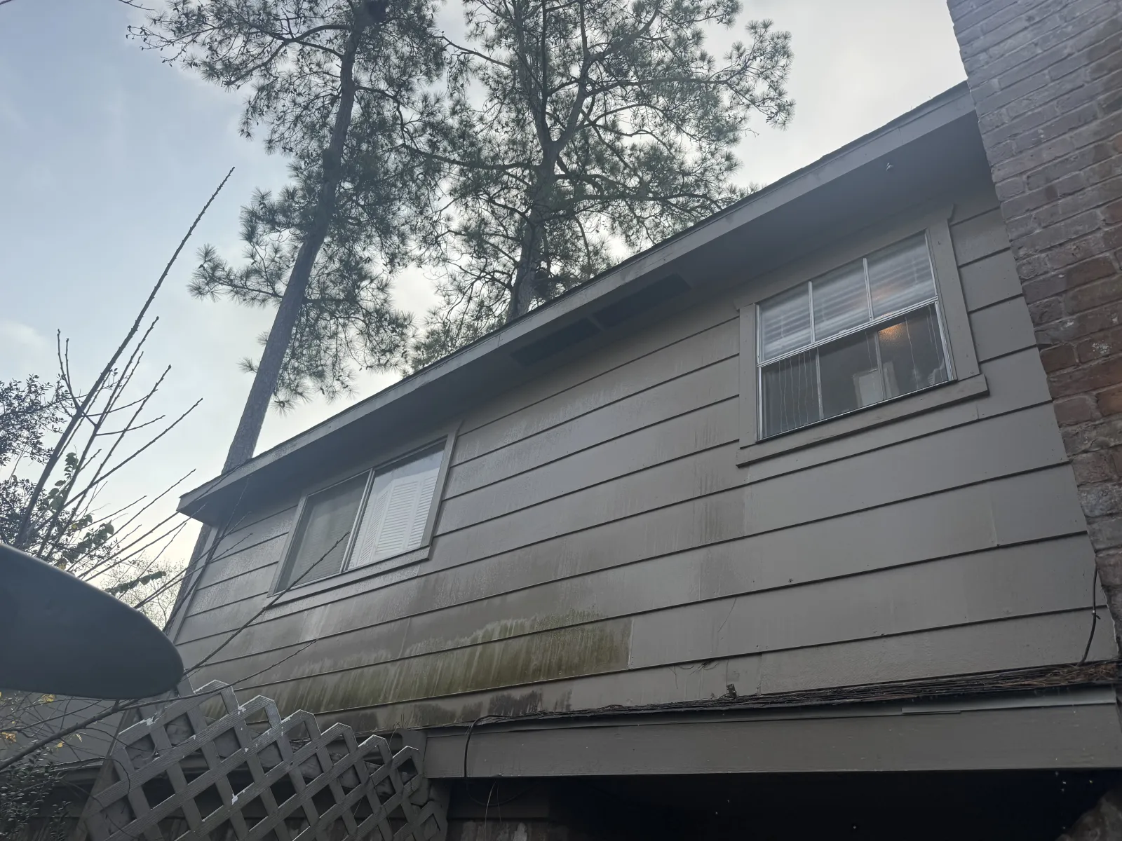 Green organic buildup on Magnolia house siding before washing